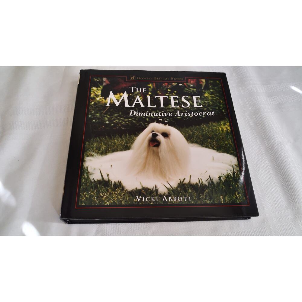 The Maltese Diminitive Aristocrat By Nicki Abbott